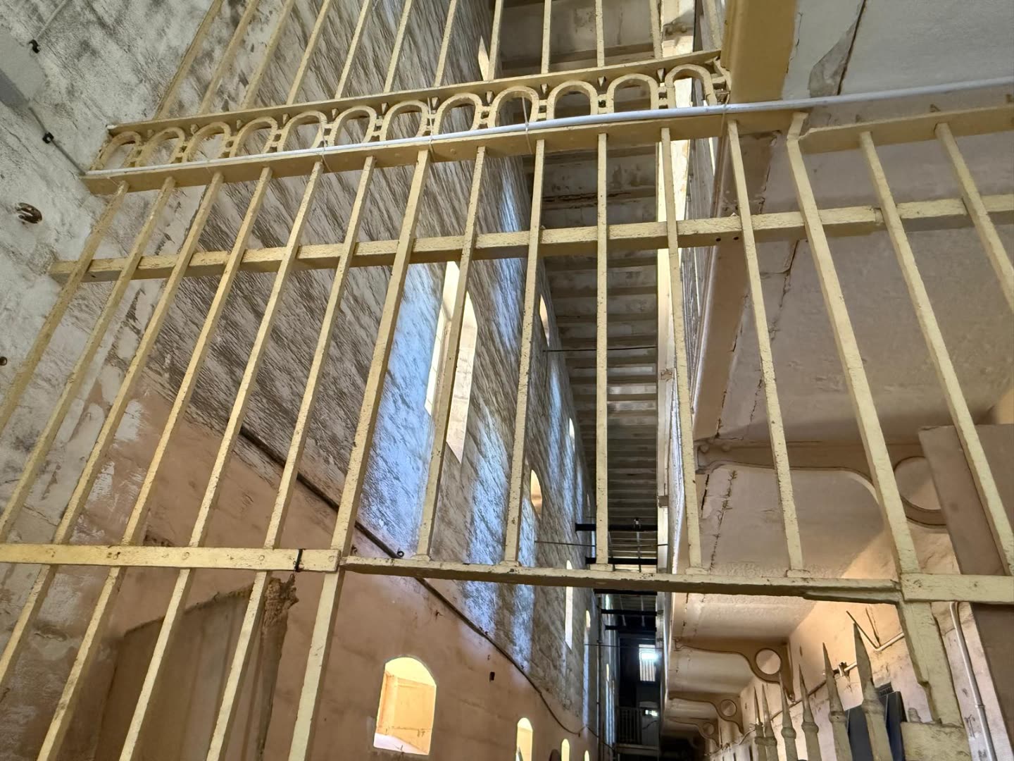 The bars - ceiling to floor